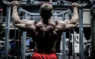 Упражнения для развития и укрепления мышц спины Упражнения на глубокие мышцы позвоночника